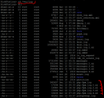 php-fpm.log 2 mit ZPush 2.1.1-1.PNG