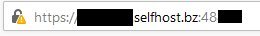 Selfhost1.jpg