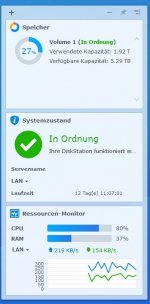 NAS DS216j Auslastung Drive Client 3.0.0.JPG