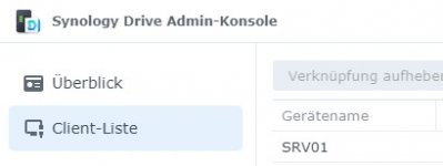 Screenshot Drive Admin Konsole .jpg