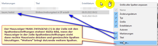 sp_tag_win10_spaltenansicht_hinzufuegen.png