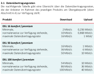 ISP_Übertragungsraten.png