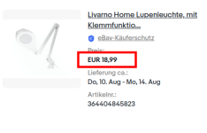 ebay_Lupenleuchte.png