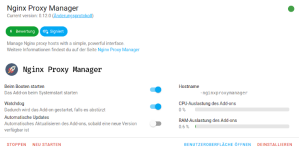 Nginx_Proy_Manager.png