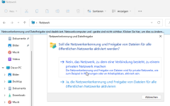 Win11_Netzwerkerkennung.png