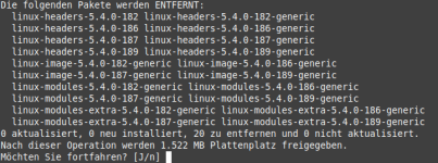 Mint_Kernel_entfernen.png