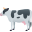 🐄